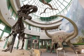 North Carolina Museum of Natural Sciences - Travelhyme